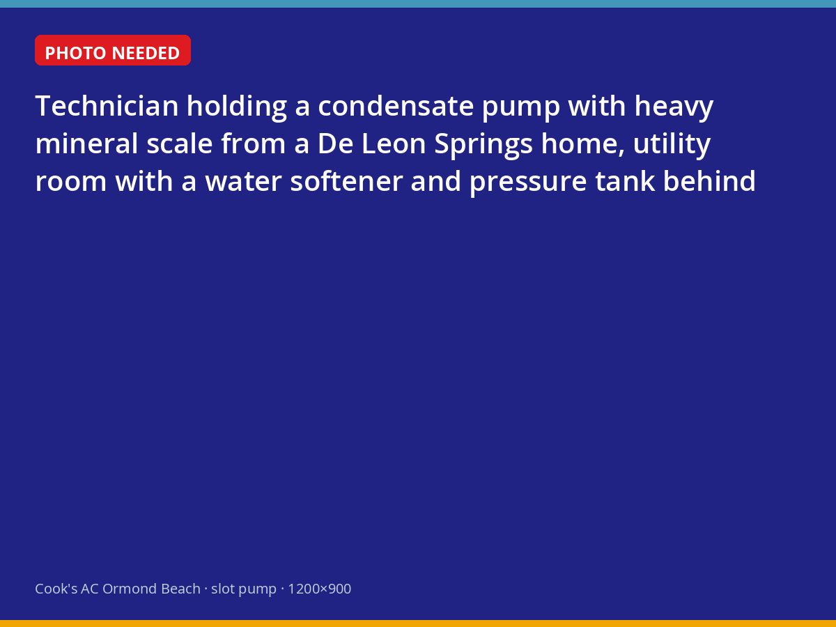 Scaled condensate pump removed from a home on well water in De Leon Springs