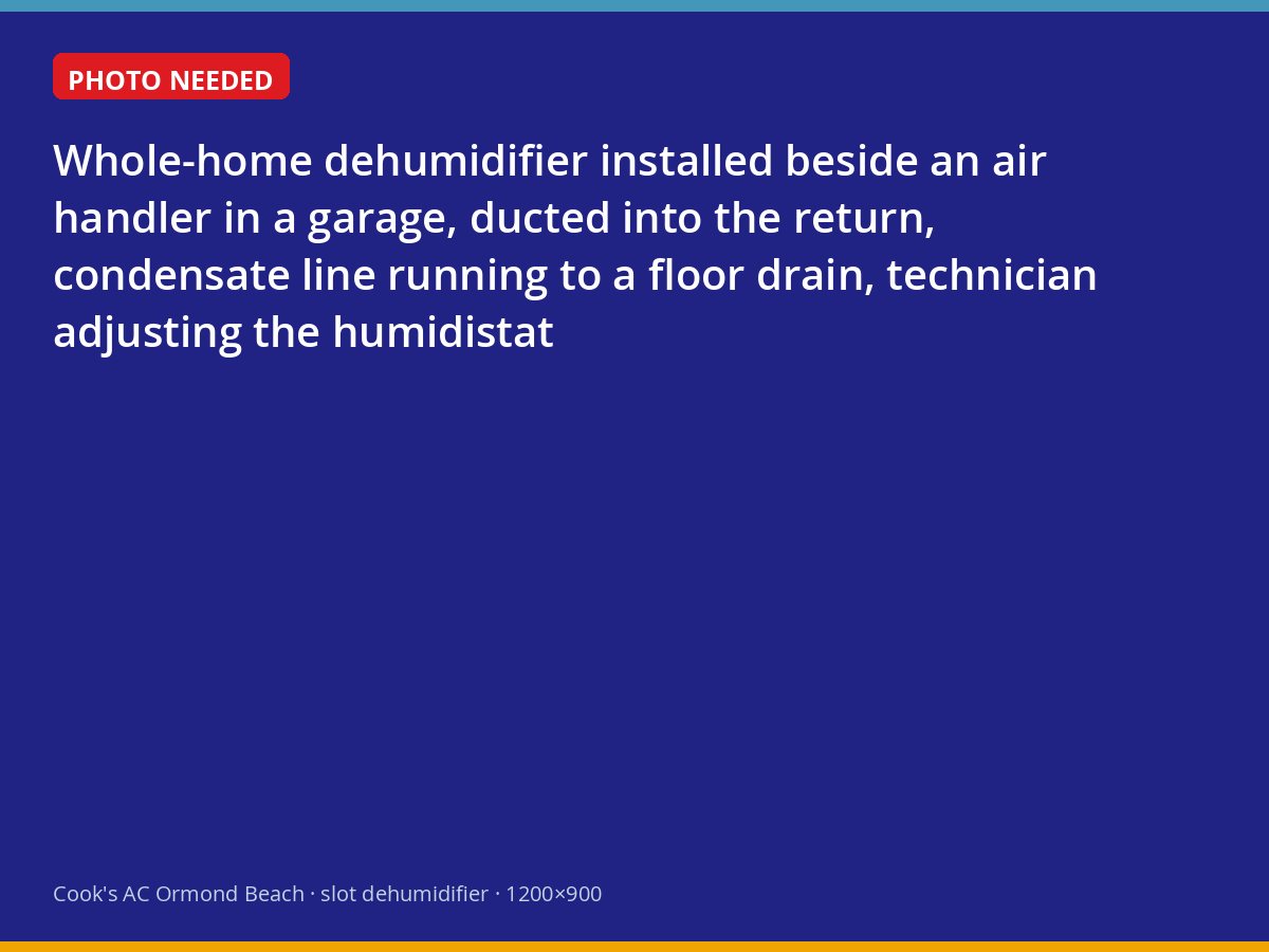 Whole-home dehumidifier ducted into an air handler in an Ormond Beach garage